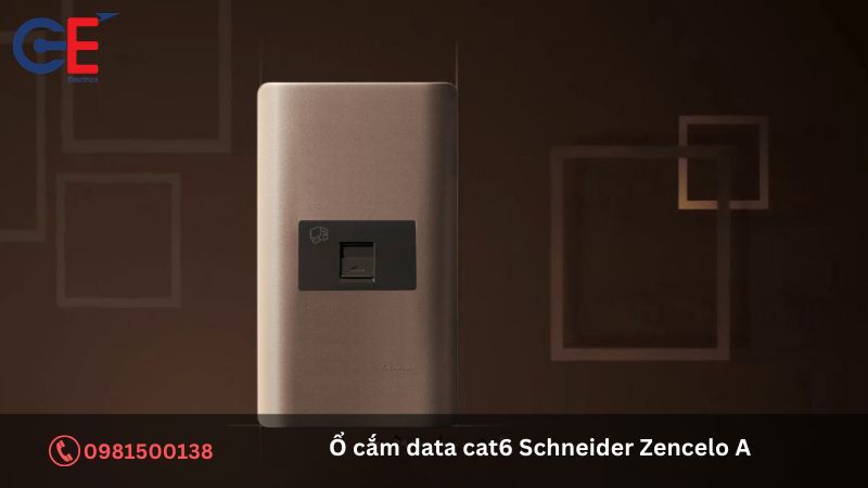 Địa chỉ cung cấp sản phẩm ổ cắm data cat6 Schneider Zencelo A?