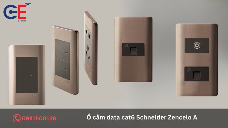 Ứng dụng của ổ cắm data cat6 Schneider Zencelo A